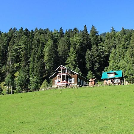 Hotel Peaceful Mornings Srinagar Екстер'єр фото